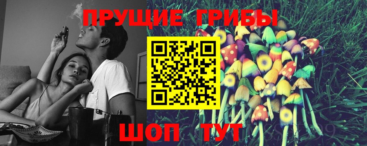 Псилоцибиновые грибы мицелий  Вход с VPN  Рославль 