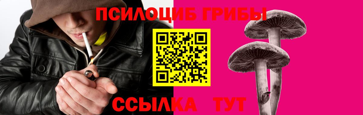 Псилоцибиновые грибы MAGIC MUSHROOMS Рославль